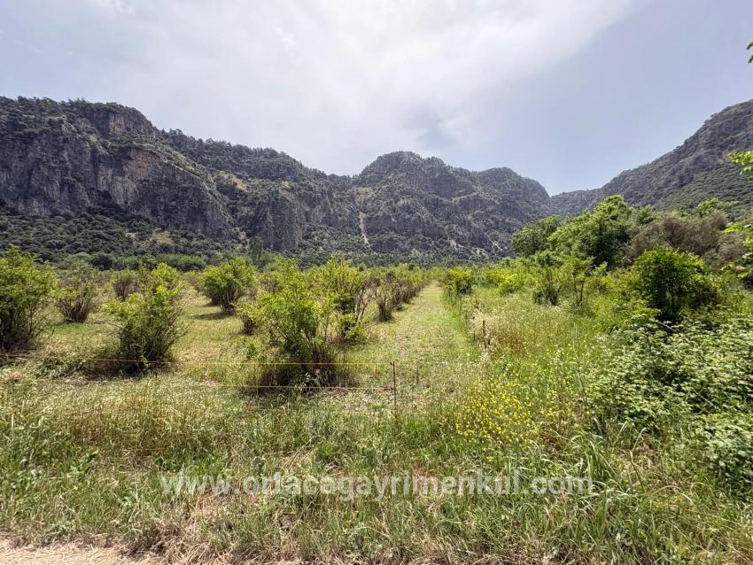 Ortaca Okçular Mah. Satılık Arsa - Konut İmar Durumlu - 2.100 m²