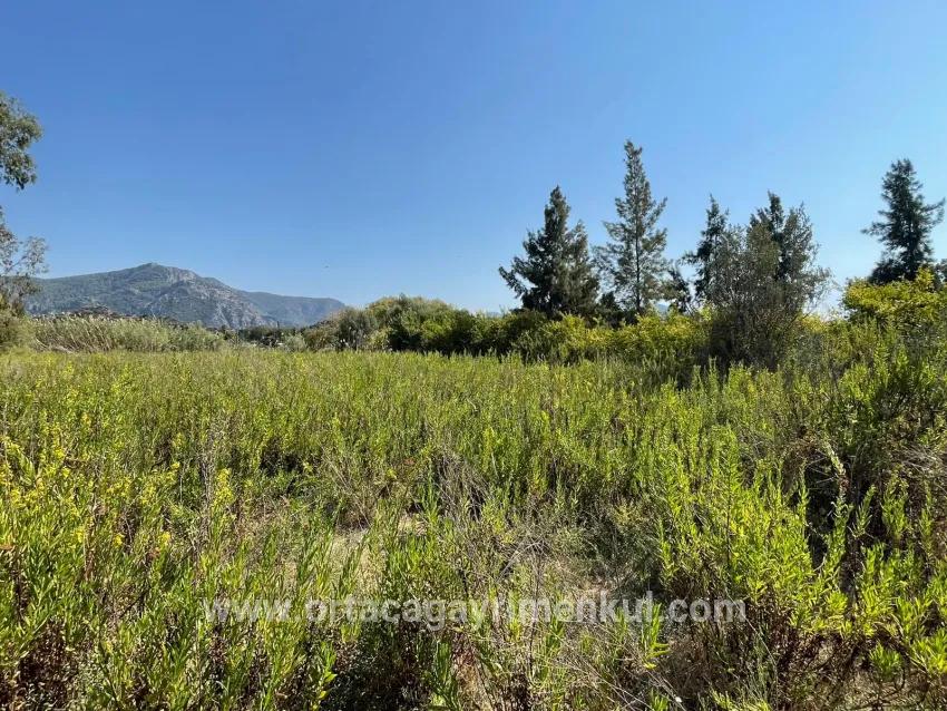 Köyceğiz Çandır Mah. Satılık 1+0 Müstakil Ev - 2.765 m²