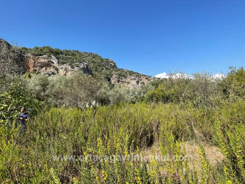 Köyceğiz Çandır Mah. Satılık 1+0 Müstakil Ev - 2.765 m²