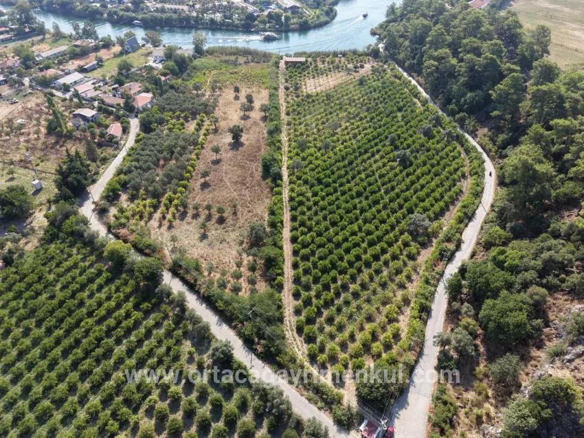 Köyceğiz Çandır Mah. Satılık Tarla - Tarla İmar Durumlu - 20.000 m²