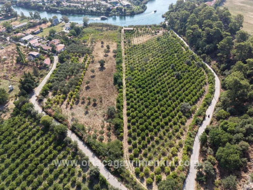 Köyceğiz Çandır Mah. Satılık Tarla - Tarla İmar Durumlu - 20.000 m²