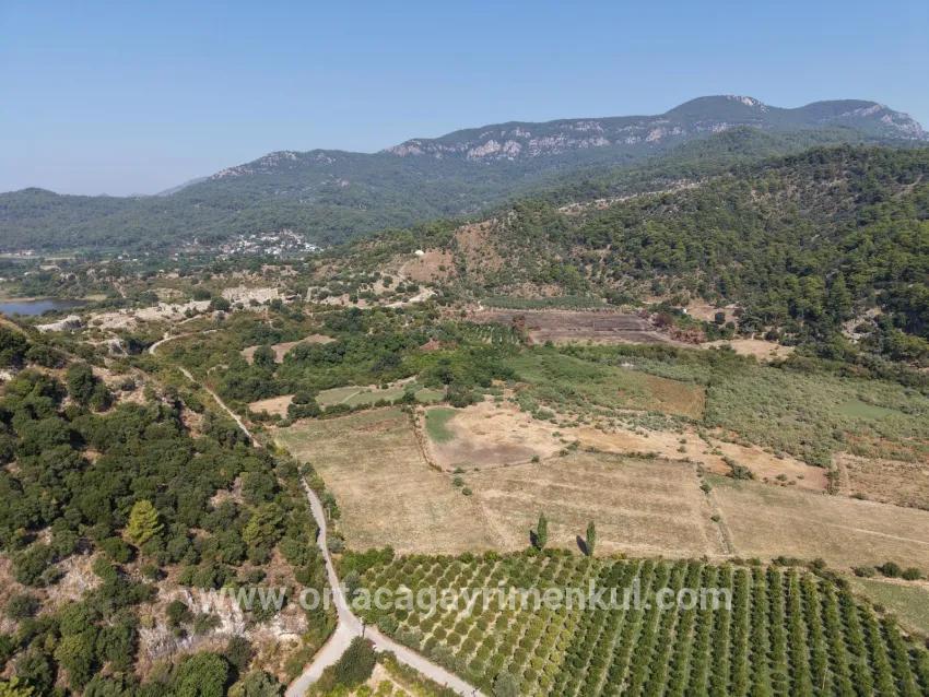 Köyceğiz Çandır Mah. Satılık Tarla - Tarla İmar Durumlu - 20.000 m²