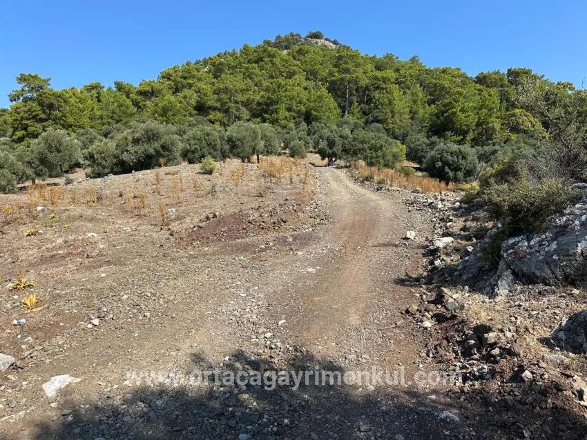 Köyceğiz Çandır Mah. Satılık Tarla - Tarla İmar Durumlu - 21.000 m²