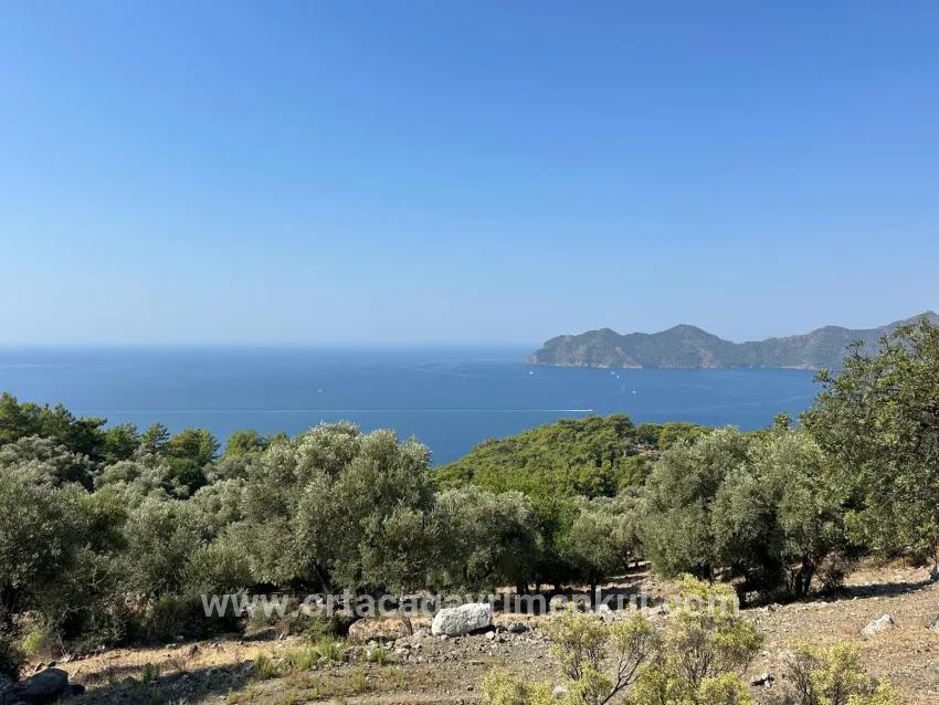 Köyceğiz Çandır Mah. Satılık Tarla - Tarla İmar Durumlu - 21.000 m²