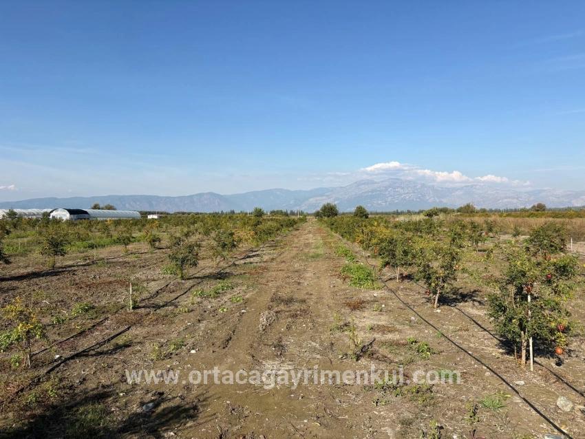 Ortaca Eskiköy Mah. Satılık Tarla - Tarla İmar Durumlu - 21.500 m²