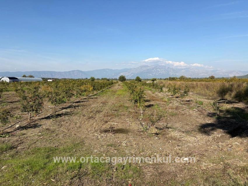 Ortaca Eskiköy Mah. Satılık Tarla - Tarla İmar Durumlu - 21.500 m²