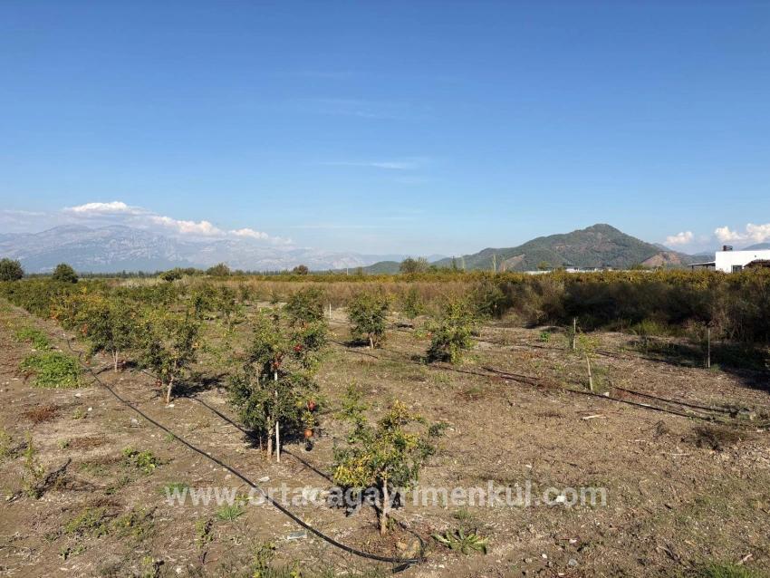 Ortaca Eskiköy Mah. Satılık Tarla - Tarla İmar Durumlu - 21.500 m²