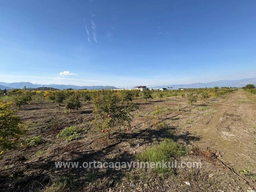 Ortaca Eskiköy Mah. Satılık Tarla - Tarla İmar Durumlu - 21.500 m²