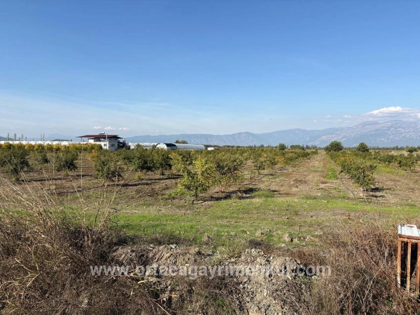 Ortaca Eskiköy Mah. Satılık Tarla - Tarla İmar Durumlu - 21.500 m²