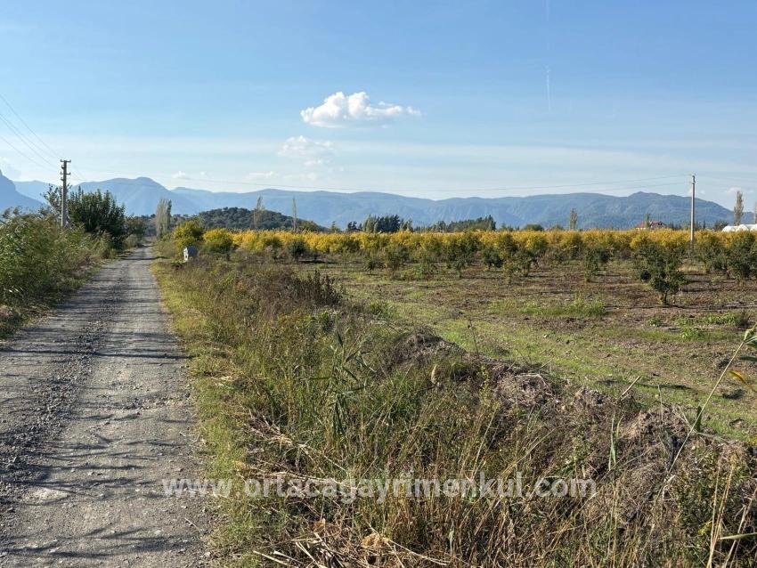 Ortaca Eskiköy Mah. Satılık Tarla - Tarla İmar Durumlu - 21.500 m²