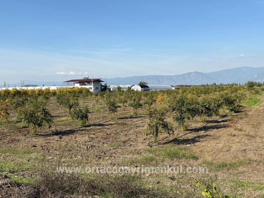 Ortaca Eskiköy Mah. Satılık Tarla - Tarla İmar Durumlu - 21.500 m²