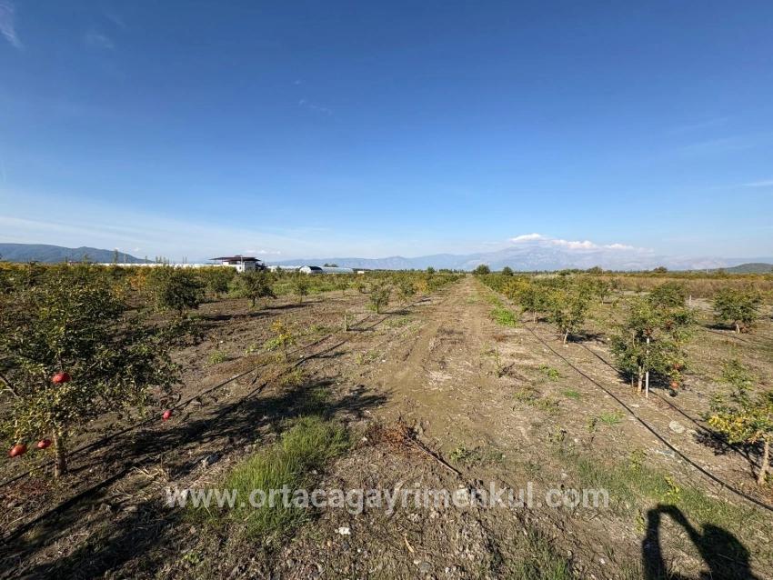 Ortaca Eskiköy Mah. Satılık Tarla - Tarla İmar Durumlu - 21.500 m²