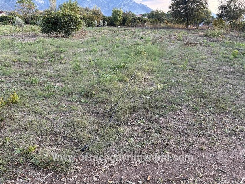 Ortaca Dalyan Mah. Satılık Arsa - Konut İmar Durumlu - 7.450 m²