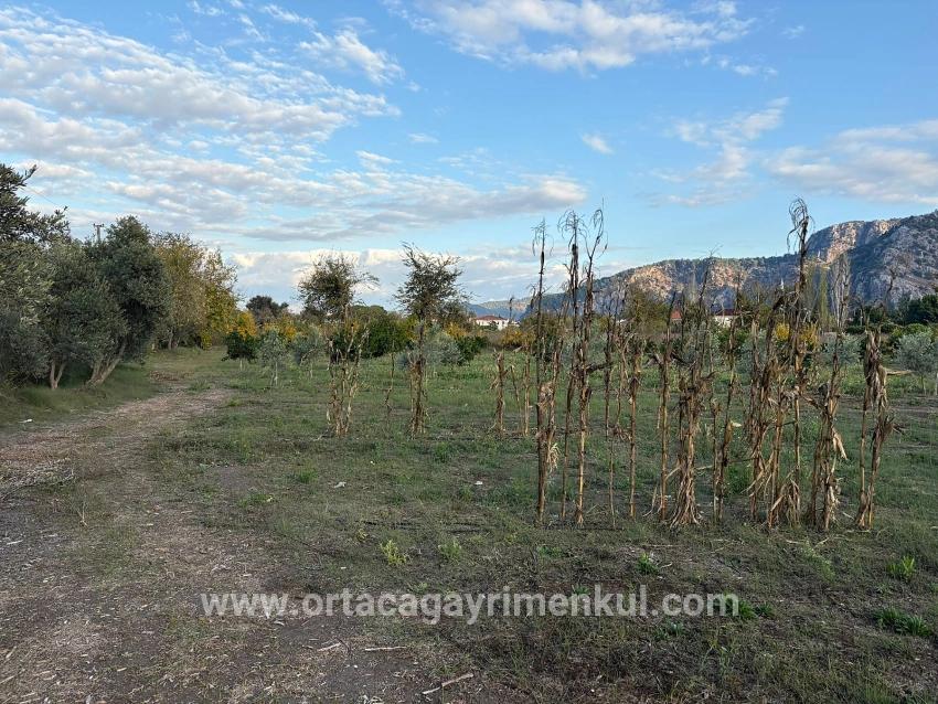 Ortaca Dalyan Mah. Satılık Arsa - Konut İmar Durumlu - 7.450 m²
