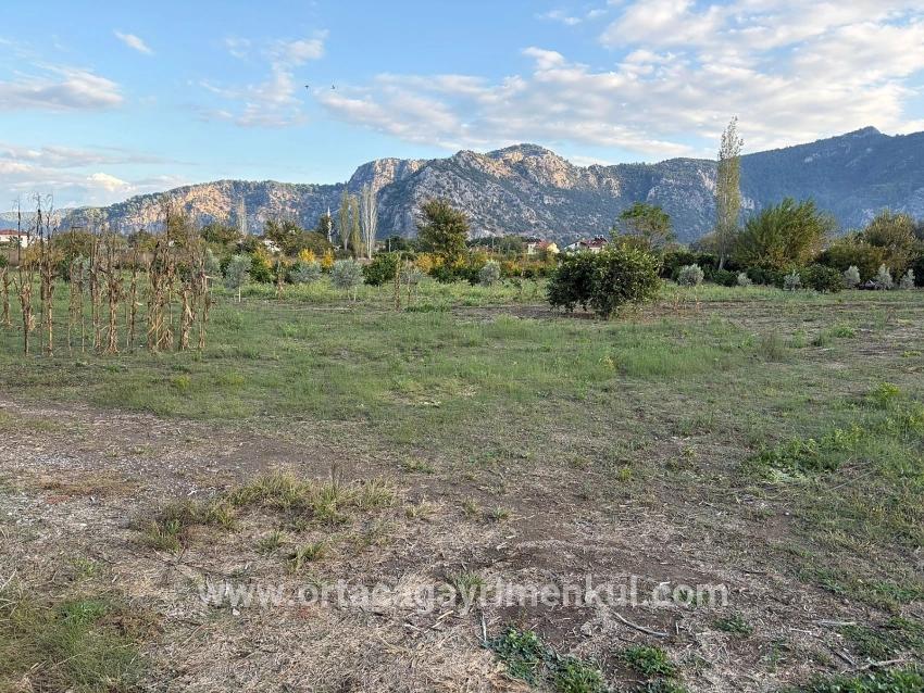 Ortaca Dalyan Mah. Satılık Arsa - Konut İmar Durumlu - 7.450 m²