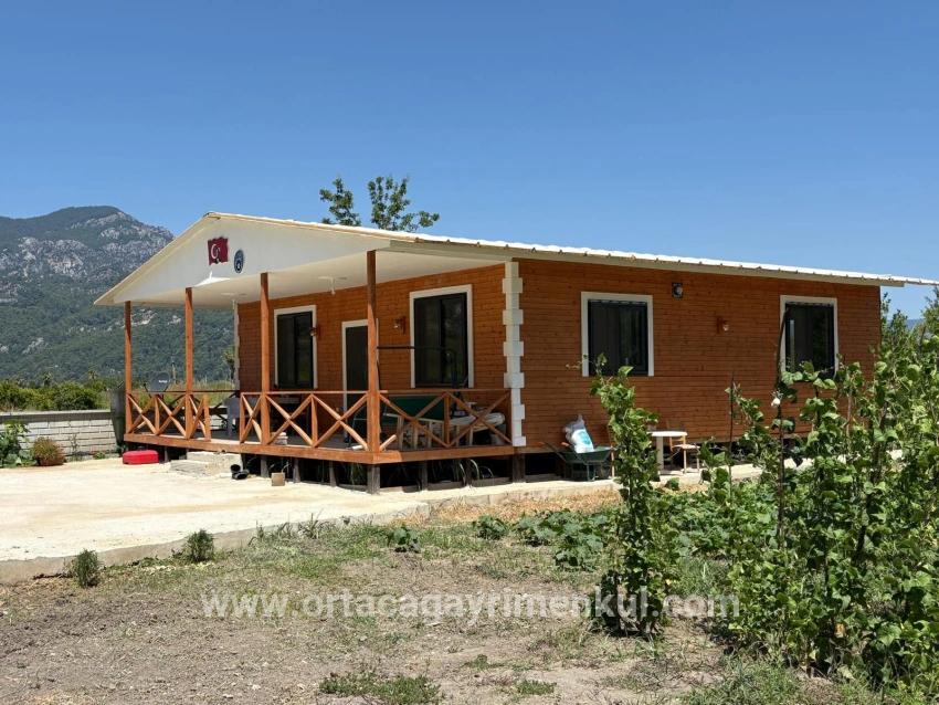 Ortaca Dalyan Mah. Satılık 2+1 Müstakil Ev - 2.500 m²