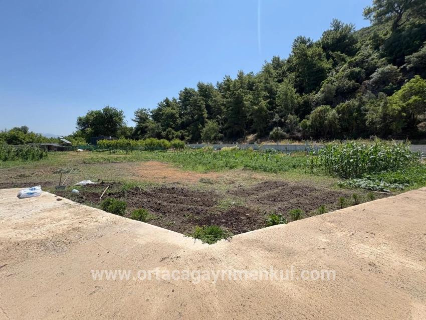 Ortaca Dalyan Mah. Satılık 2+1 Müstakil Ev - 2.500 m²