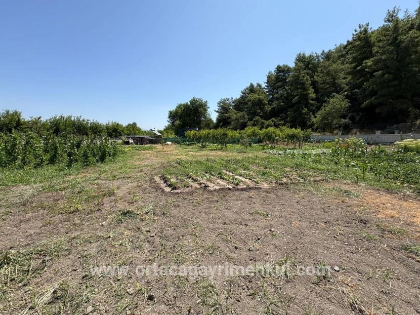 Ortaca Dalyan Mah. Satılık 2+1 Müstakil Ev - 2.500 m²