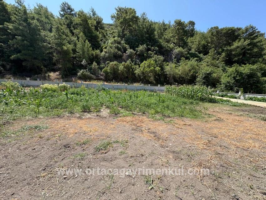 Ortaca Dalyan Mah. Satılık 2+1 Müstakil Ev - 2.500 m²