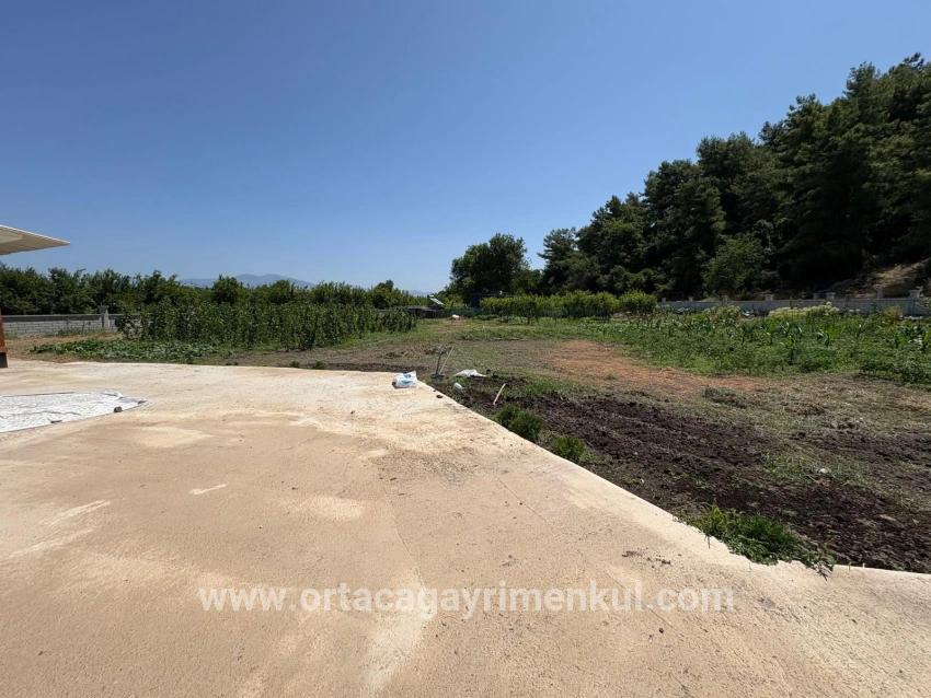 Ortaca Dalyan Mah. Satılık 2+1 Müstakil Ev - 2.500 m²