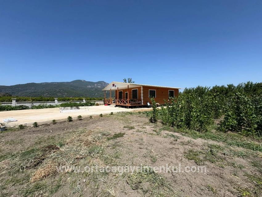 Ortaca Dalyan Mah. Satılık 2+1 Müstakil Ev - 2.500 m²