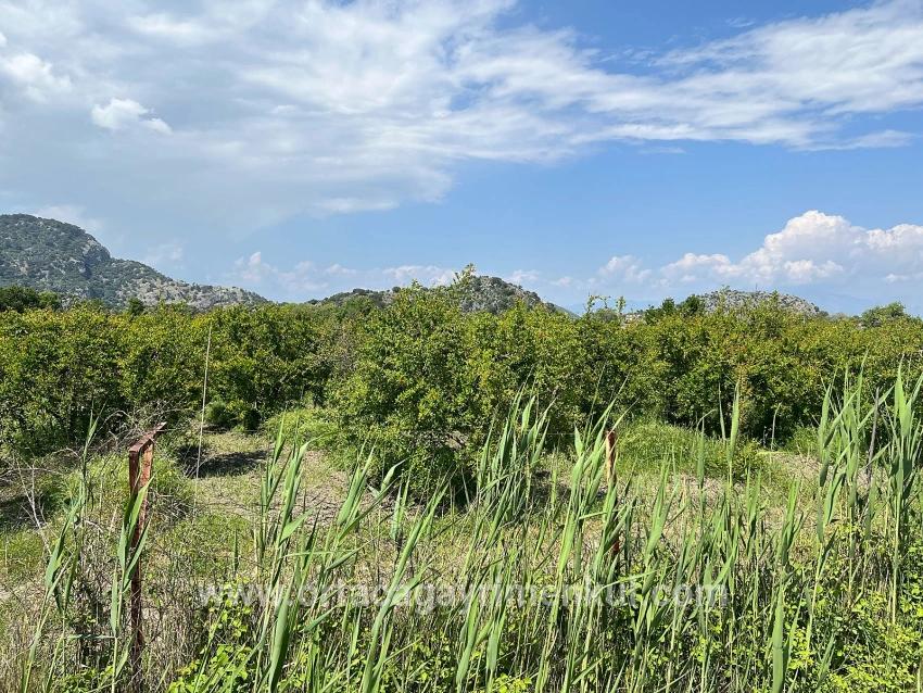 Ortaca Dalyan Mah. Satılık Arsa - Konut İmar Durumlu - 5.100 m²