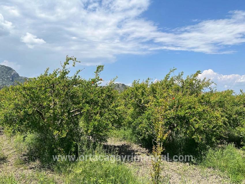 Ortaca Dalyan Mah. Satılık Arsa - Konut İmar Durumlu - 5.100 m²