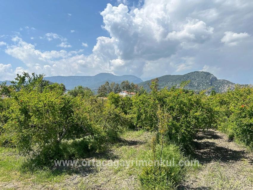 Ortaca Dalyan Mah. Satılık Arsa - Konut İmar Durumlu - 5.100 m²