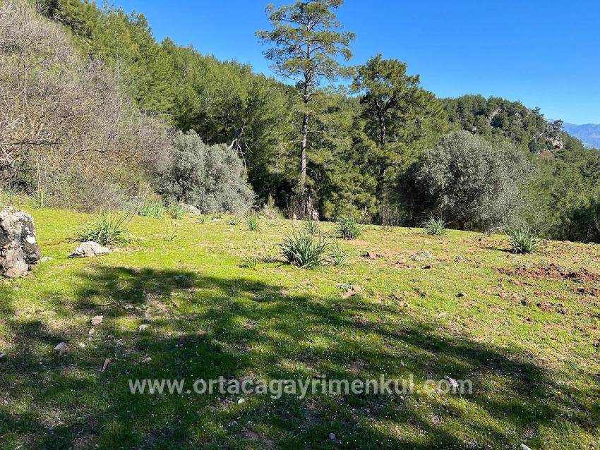 Ortaca Gökbel Mah. Satılık Tarla - Tarla İmar Durumlu - 24.163 m²