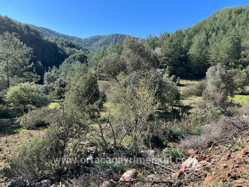 Ortaca Gökbel Mah. Satılık Tarla - Tarla İmar Durumlu - 24.163 m²