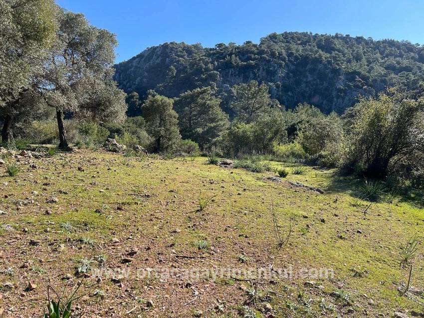 Ortaca Gökbel Mah. Satılık Tarla - Tarla İmar Durumlu - 24.163 m²