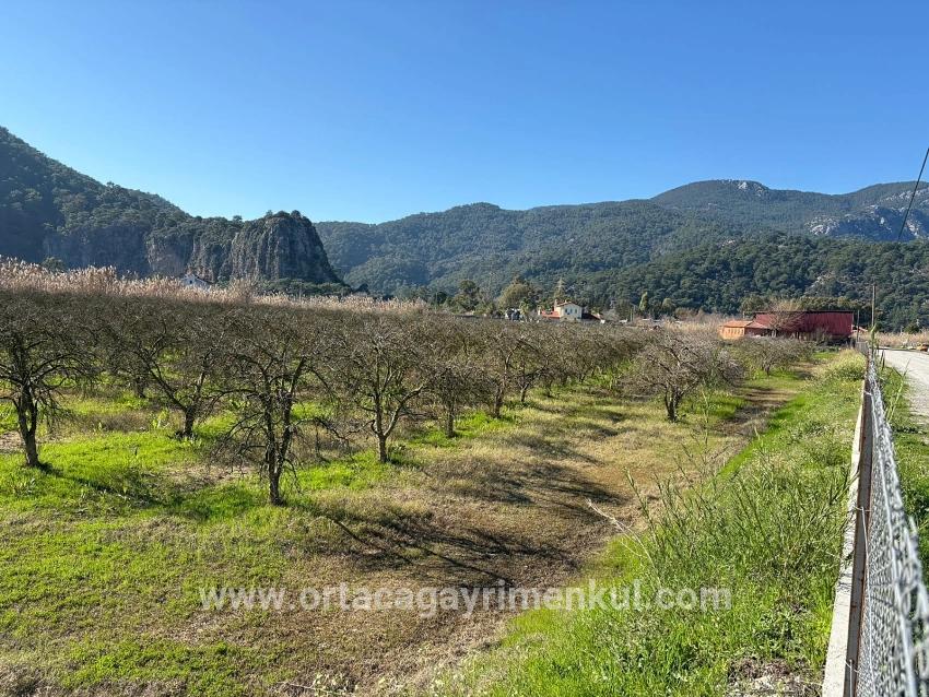 Ortaca Dalyan Mah. Satılık Arsa - Konut İmar Durumlu - 5.985 m²