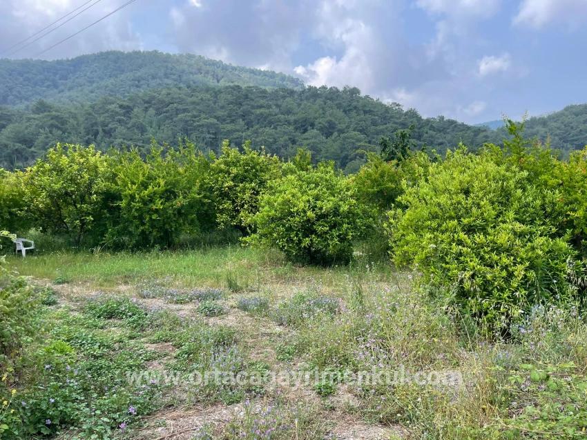 Ortaca Gökbel Mah. Satılık Tarla - Konut İmar Durumlu - 7.800 m²