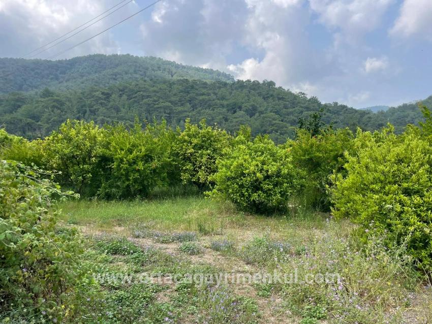 Ortaca Gökbel Mah. Satılık Tarla - Konut İmar Durumlu - 7.800 m²