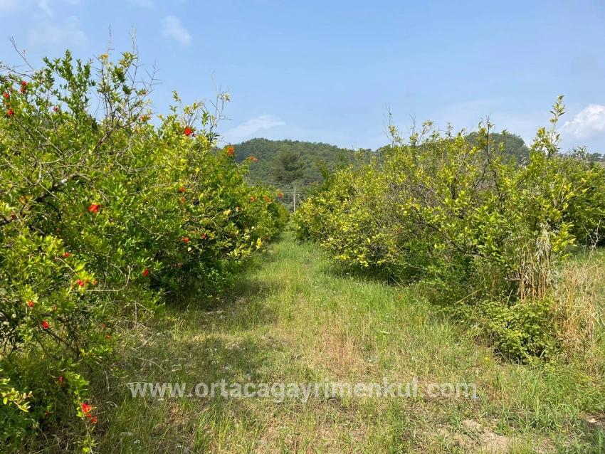 Ortaca Gökbel Mah. Satılık Tarla - Konut İmar Durumlu - 7.800 m²