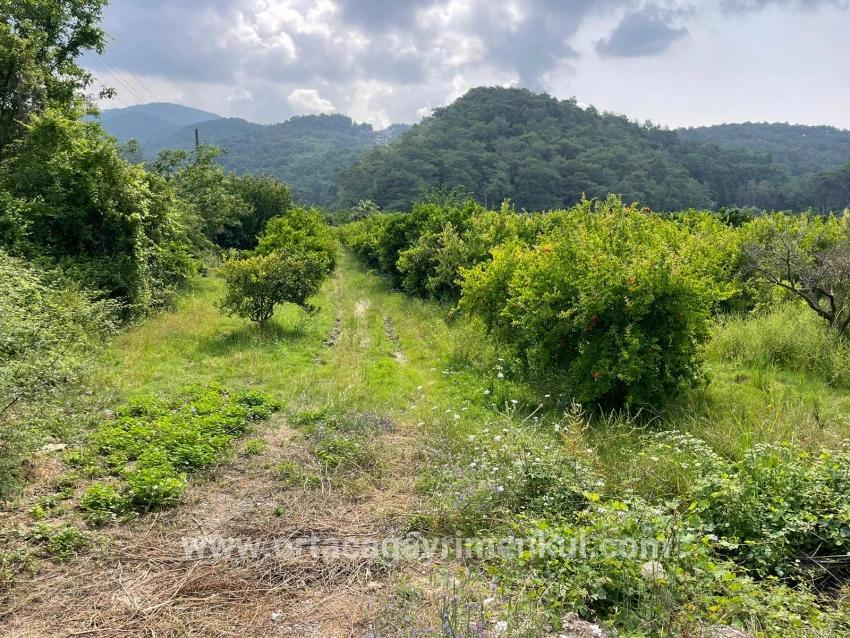 Ortaca Gökbel Mah. Satılık Tarla - Konut İmar Durumlu - 7.800 m²