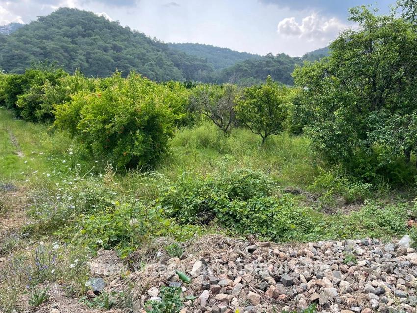 Ortaca Gökbel Mah. Satılık Tarla - Konut İmar Durumlu - 7.800 m²