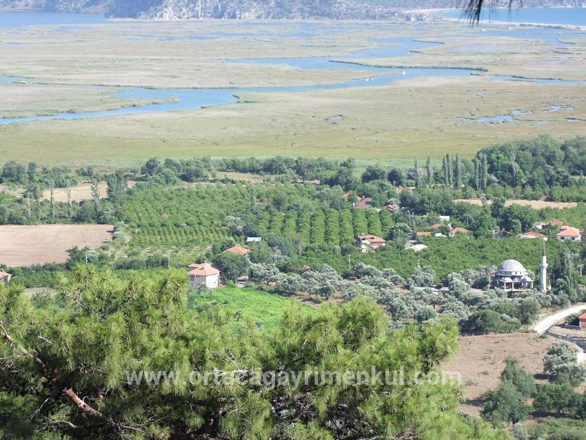 Köyceğiz Çandır Mah. Satılık Tarla - Tarla İmar Durumlu - 19.334 m²