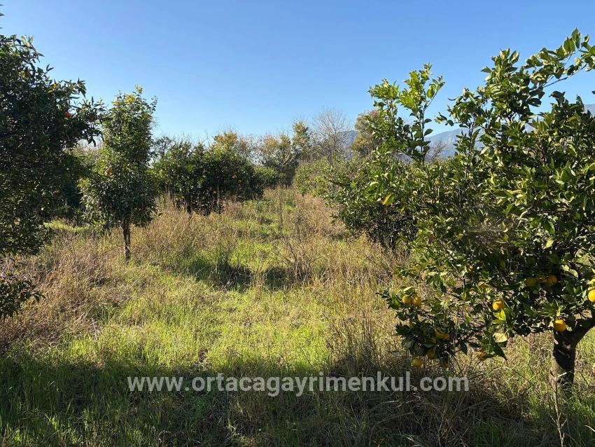 Ortaca Dalyan Mah. Satılık Tarla - Tarla İmar Durumlu - 4.541 m²