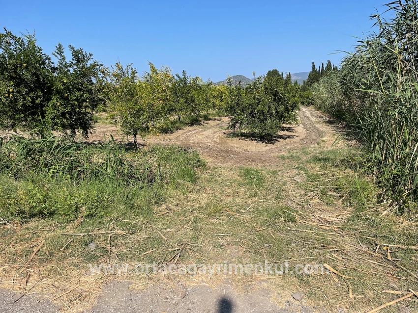 Ortaca Dalyan Mah. Satılık Tarla - Konut İmar Durumlu - 10.000 m²