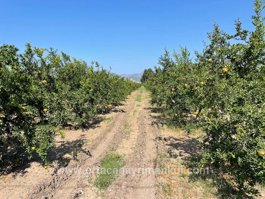 Ortaca Dalyan Mah. Satılık Tarla - Konut İmar Durumlu - 10.000 m²