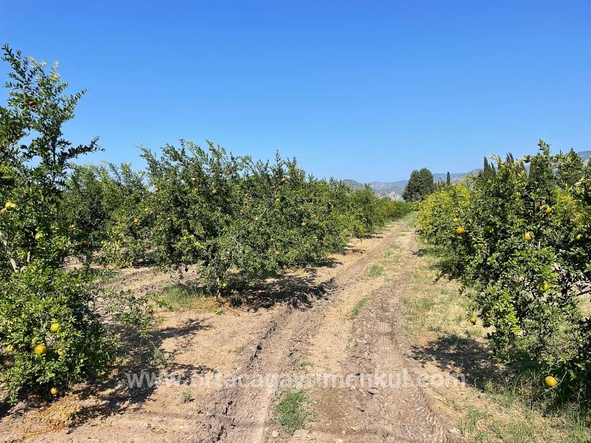 Ortaca Dalyan Mah. Satılık Tarla - Konut İmar Durumlu - 10.000 m²