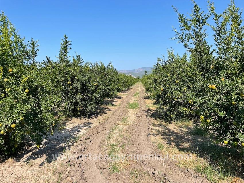 Ortaca Dalyan Mah. Satılık Tarla - Konut İmar Durumlu - 10.000 m²