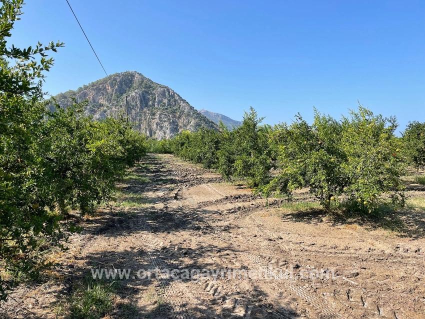 Ortaca Dalyan Mah. Satılık Tarla - Konut İmar Durumlu - 10.000 m²