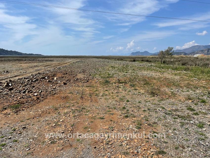 Ortaca Dalyan Mah. Satılık Tarla - Konut İmar Durumlu - 19.600 m²