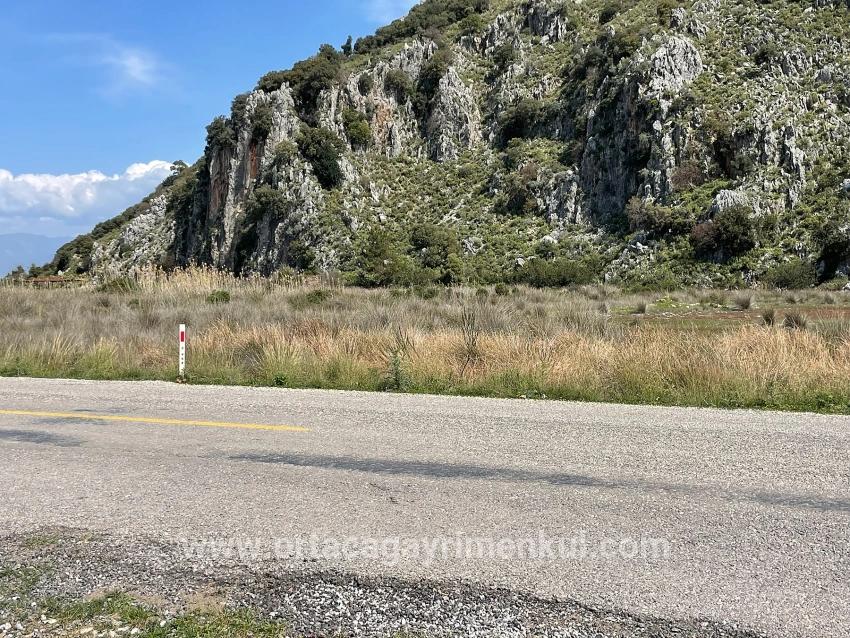 Ortaca Dalyan Mah. Satılık Tarla - Konut İmar Durumlu - 19.600 m²