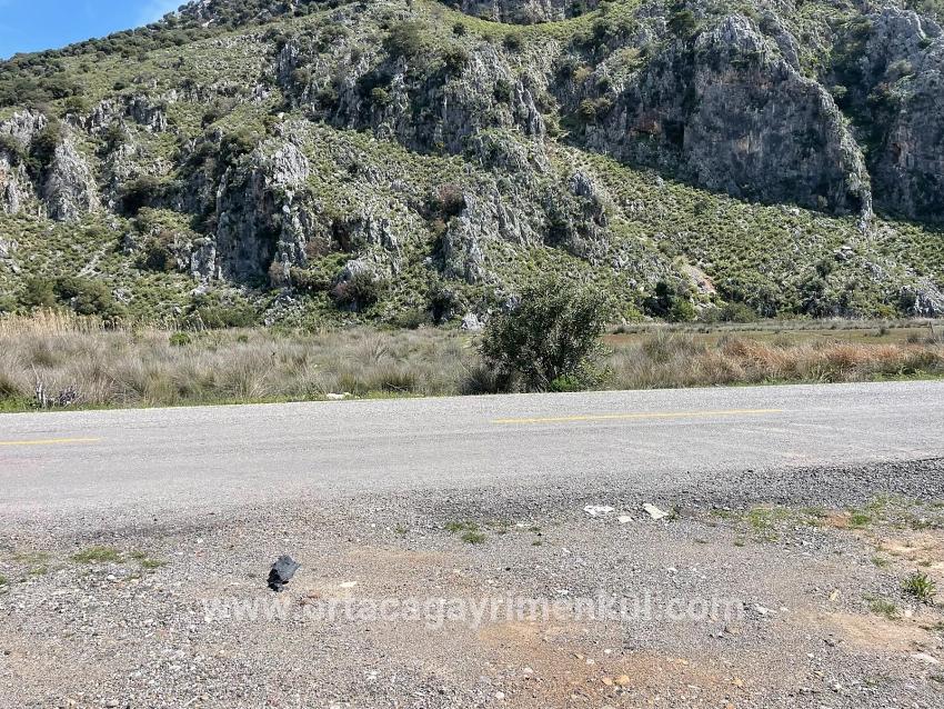 Ortaca Dalyan Mah. Satılık Tarla - Konut İmar Durumlu - 19.600 m²