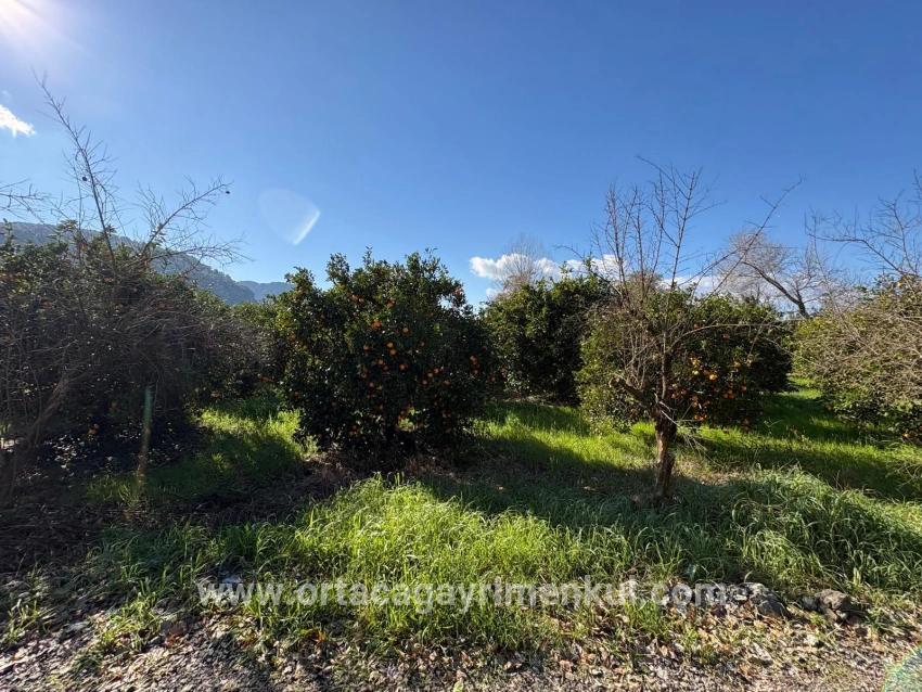 Ortaca Okçular Mah. Satılık Arsa - Konut İmar Durumlu - 4.326 m²