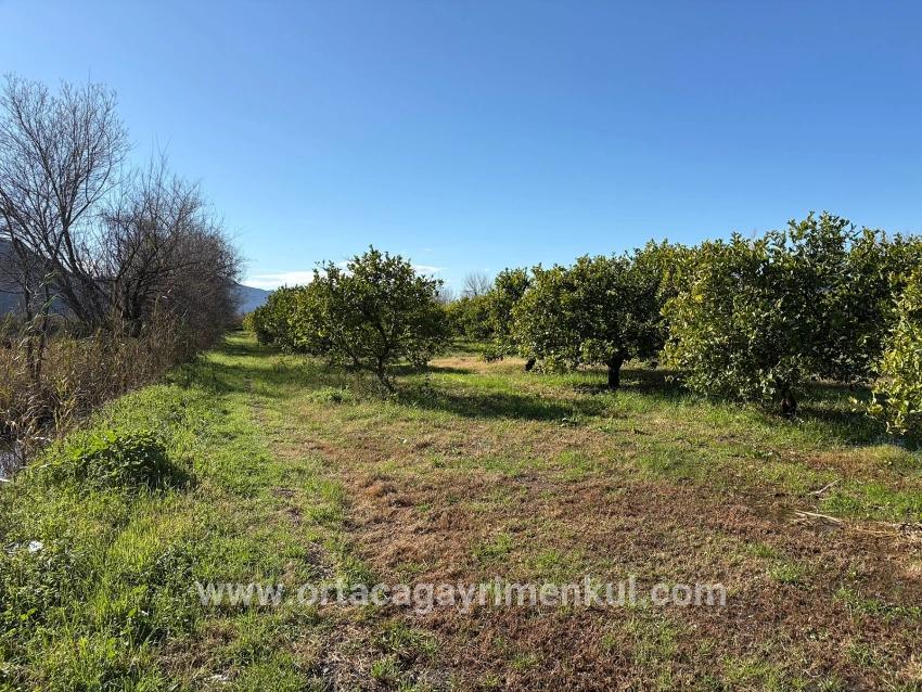 Ortaca Dalyan Mah. Satılık Tarla - Tarla İmar Durumlu - 16.500 m²