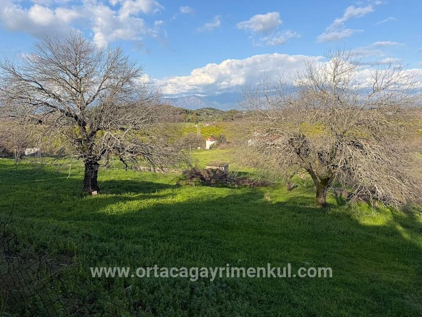 Ortaca Dalyan Mah. Satılık Tarla - Tarla İmar Durumlu - 11.230 m²